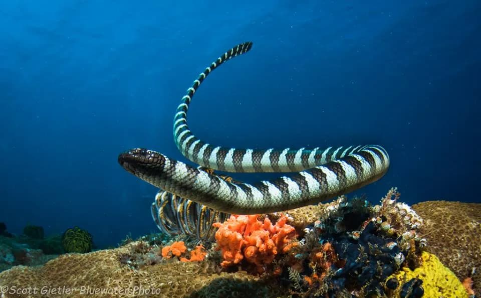 Atmosphere Resort Trip Recap July 2017 - image Atmosphere Resort Trip Recap July 2017 - image