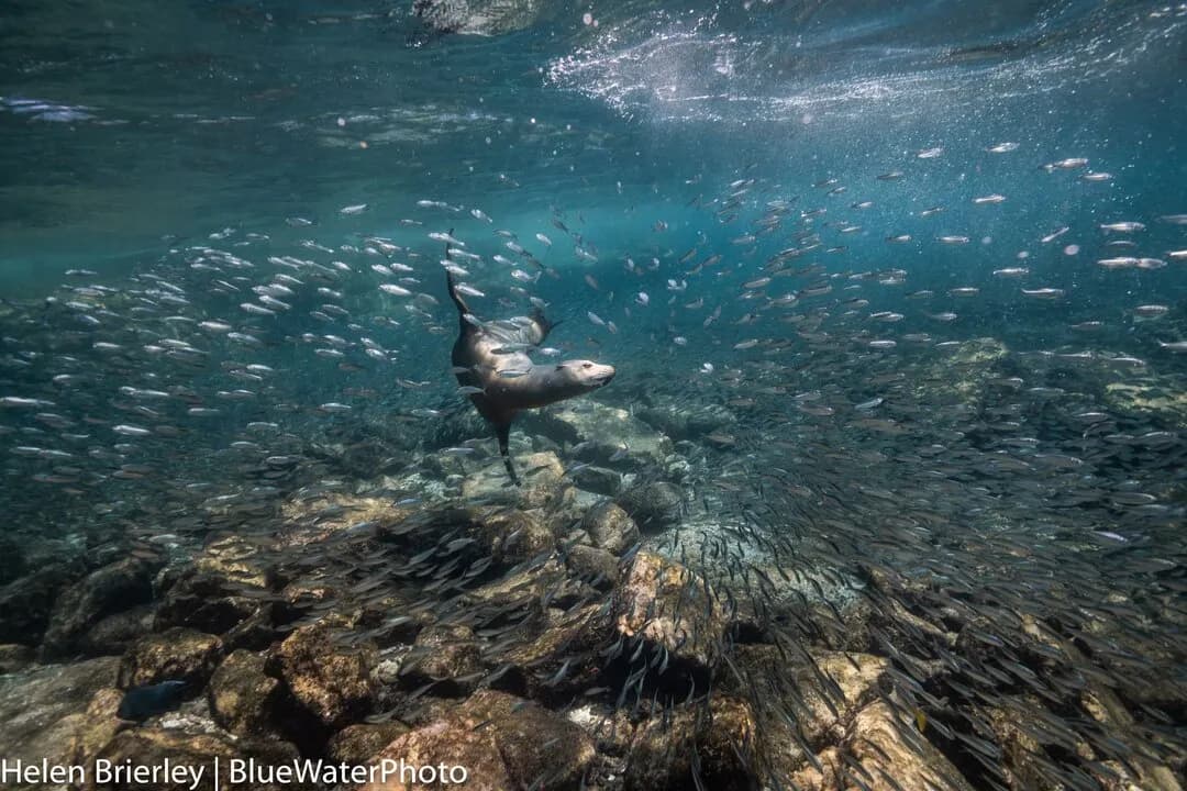 Explore Baja Trip Report October 2018 - image Explore Baja Trip Report October 2018 - image