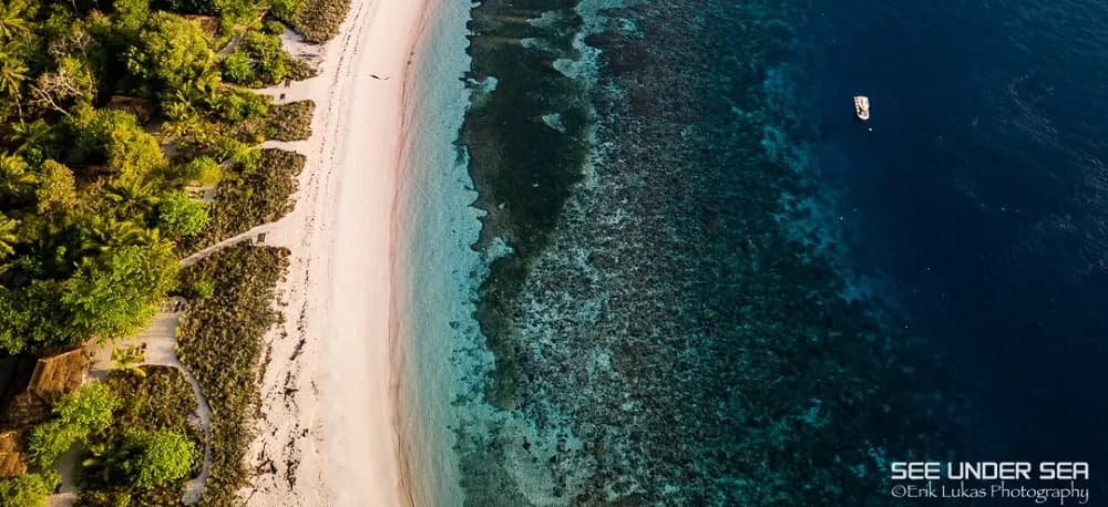 Diving in Alor - Trip Report 2017 - image Diving in Alor - Trip Report 2017 - image