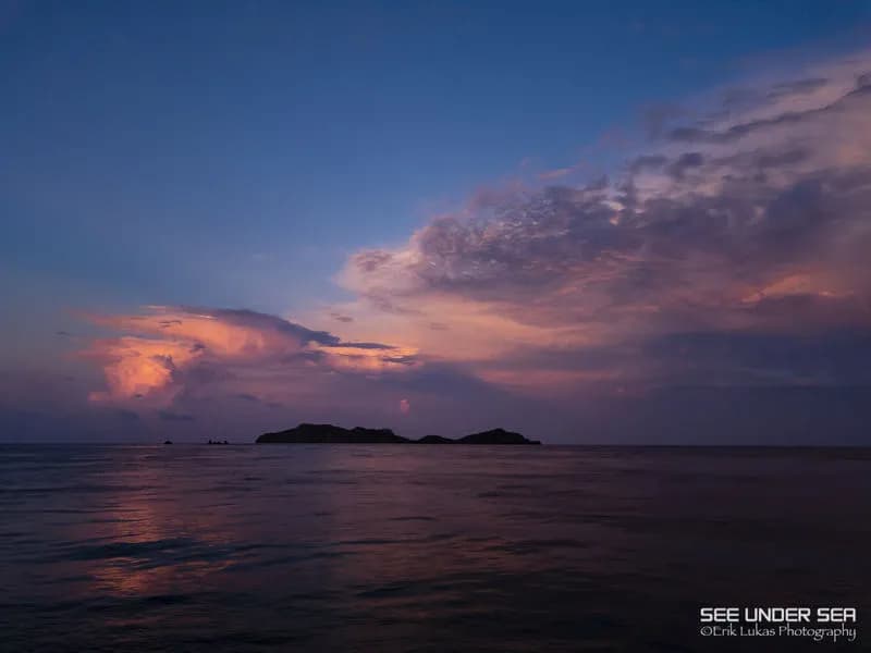 Raja Ampat Trip Report - November 2019 - image Raja Ampat Trip Report - November 2019 - image