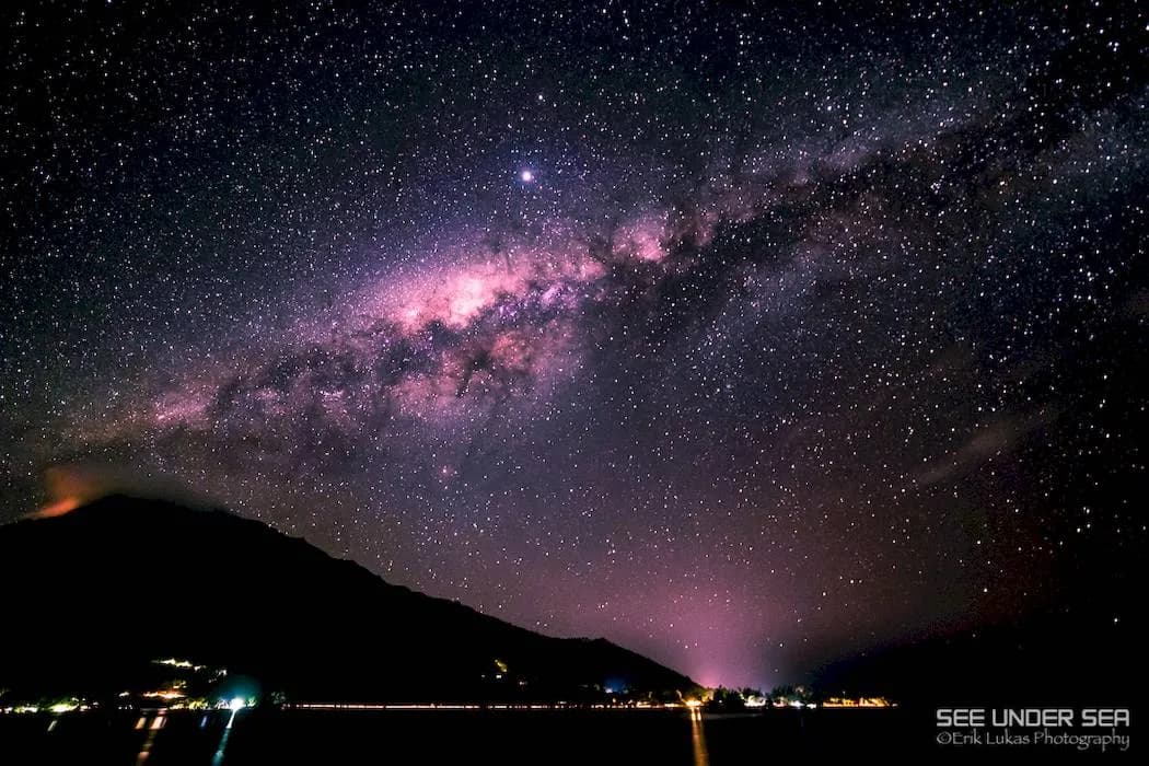 Bluewater Highlights of 2020 - image Bluewater Highlights of 2020 - image