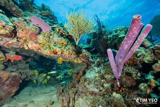 Dominican Republic Trip Recap May 2022 - image Dominican Republic Trip Recap May 2022 - image