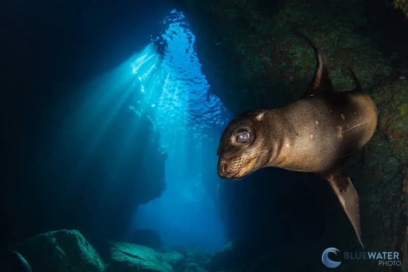 La Paz Trip Report 2022 - image La Paz Trip Report 2022 - image