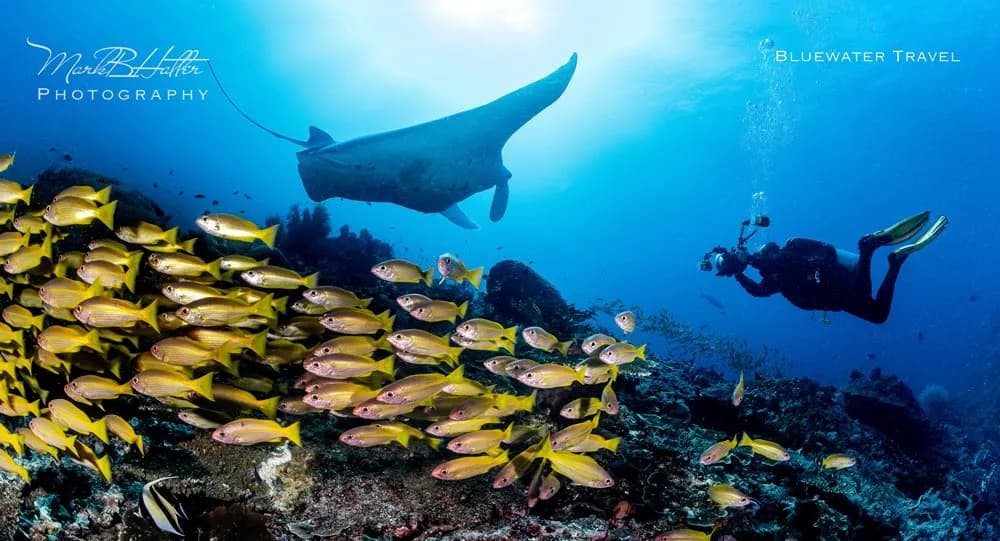 Raja Ampat 2022 Trip Recap - image Raja Ampat 2022 Trip Recap - image