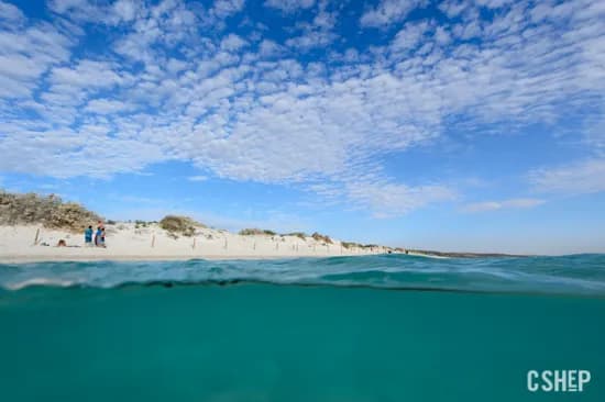 Exmouth and Ningaloo Reef - image Exmouth and Ningaloo Reef - image