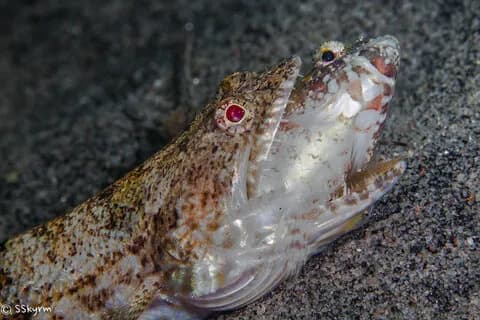 Inside a Photo Workshop - image Inside a Photo Workshop - image