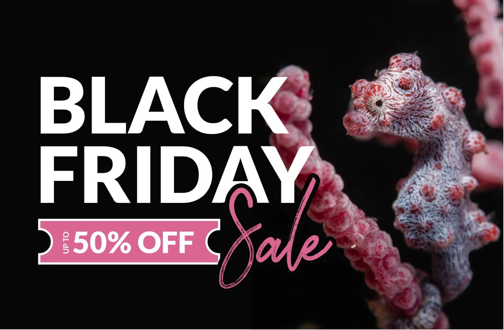 Black Friday Deals - up to 50% OFF! Black Friday Deals - up to 50% OFF!