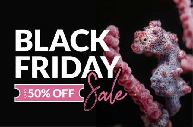 Black Friday Deals - up to 50% OFF! Black Friday Deals - up to 50% OFF!