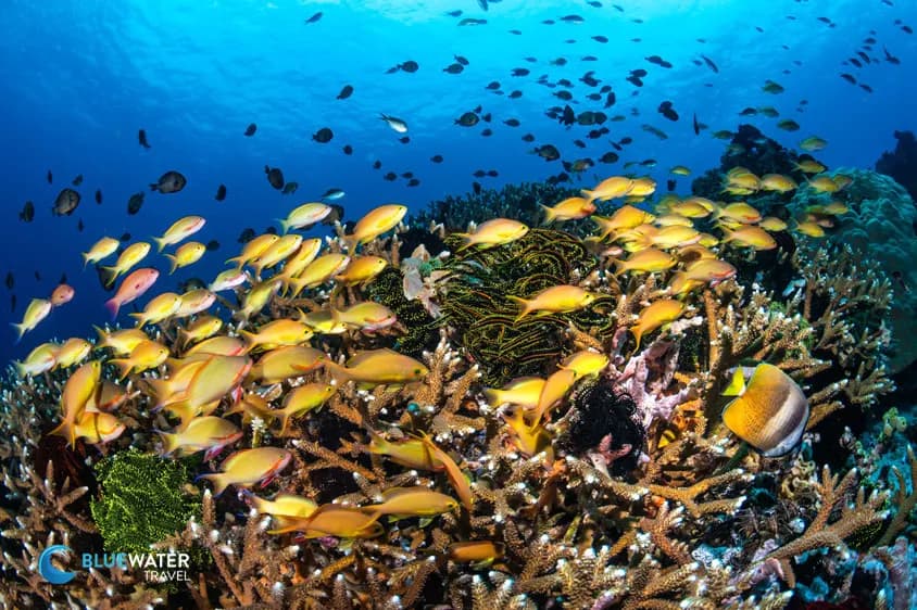 Dumaguete Trip Extensions - image Dumaguete Trip Extensions - image