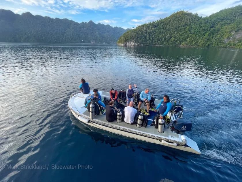 Raja Ampat Dive Season Explained - image Raja Ampat Dive Season Explained - image