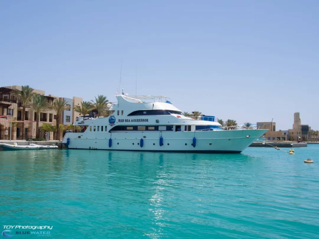 Liveaboards in Egypt (Red Sea) Liveaboards in Egypt (Red Sea)
