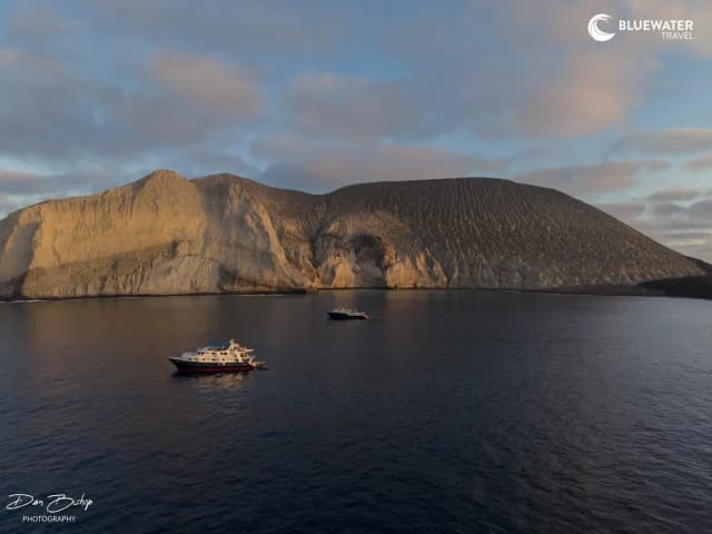 Socorro Trip Report 2026 Socorro Trip Report 2026