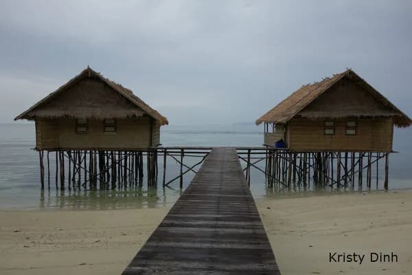 Raja Ampat trip report by Kristy Dinh and Jordan Bell - image Raja Ampat trip report by Kristy Dinh and Jordan Bell - image