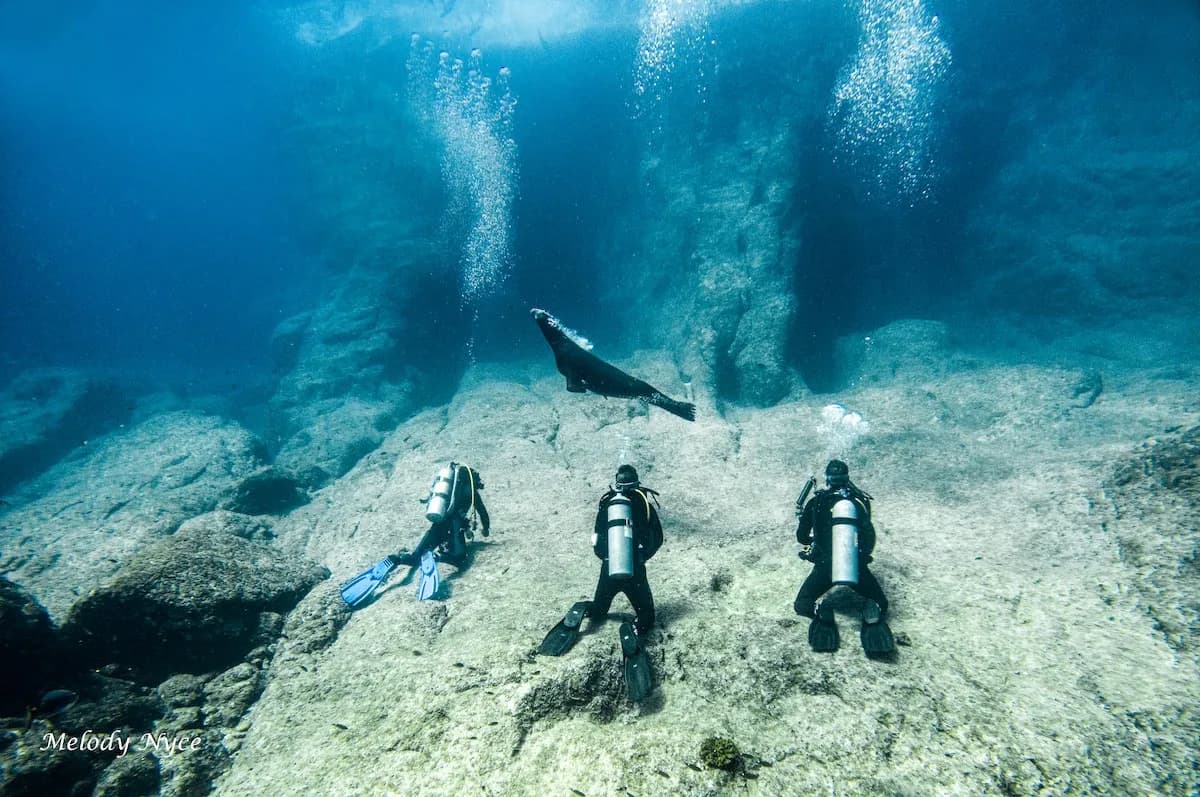 Trip Report of 2017 Dumaguete Photo Workshop - image Trip Report of 2017 Dumaguete Photo Workshop - image