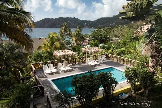 2017 Tobago Trip Report - image 2017 Tobago Trip Report - image