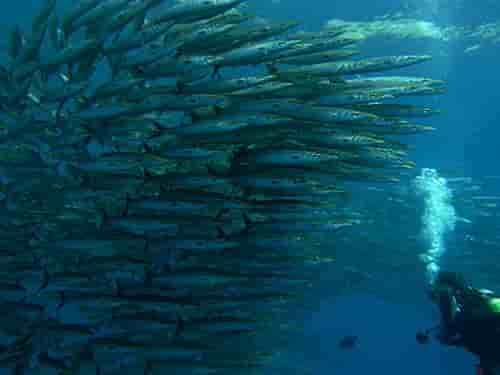 Thumbnail 3 Thumbnail 3