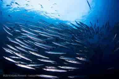 Thumbnail 4 Thumbnail 4