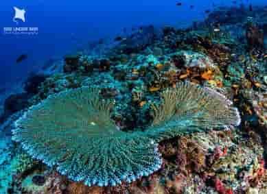 Thumbnail 3 Thumbnail 3