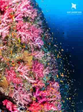 Thumbnail 6 Thumbnail 6