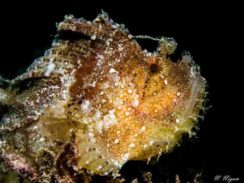 Thumbnail 1 Thumbnail 1