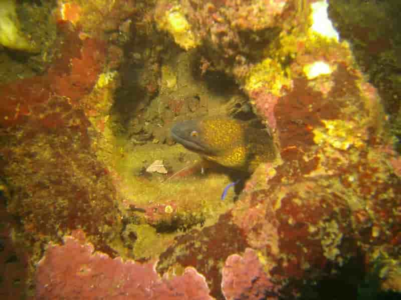 Thumbnail 3 Thumbnail 3