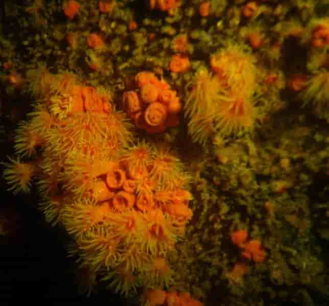 Thumbnail 4 Thumbnail 4