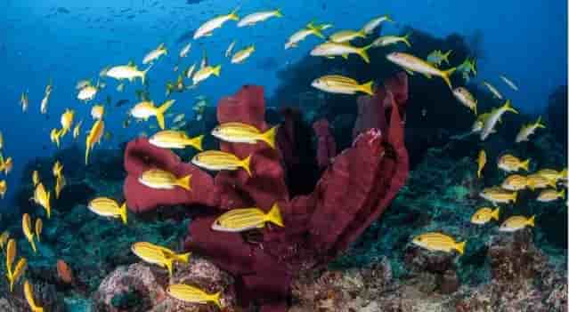 Thumbnail 4 Thumbnail 4