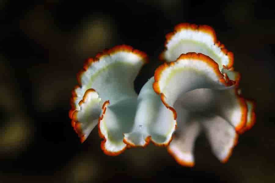 Thumbnail 7 Thumbnail 7