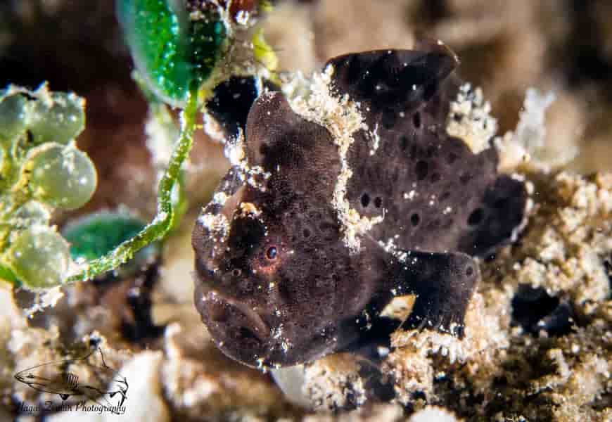 Thumbnail 8 Thumbnail 8