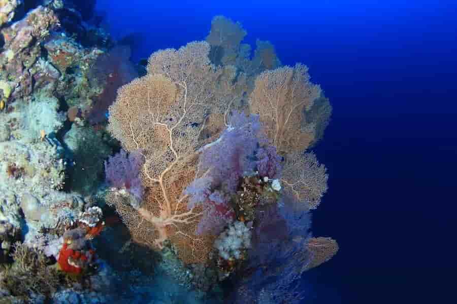 Thumbnail 4 Thumbnail 4