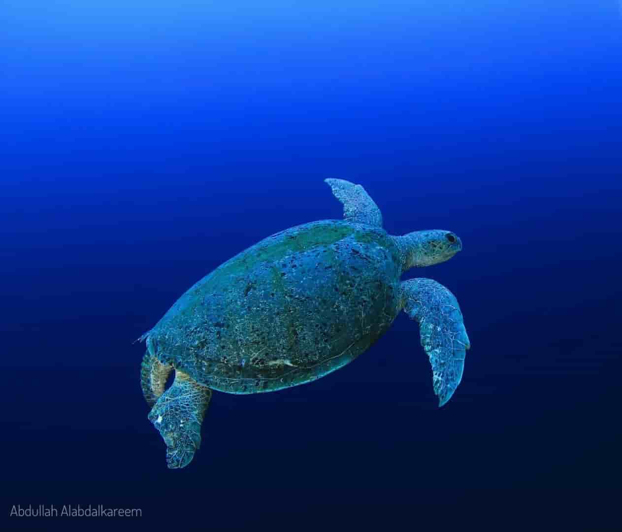 Thumbnail 6 Thumbnail 6