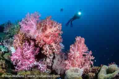 Thumbnail 3 Thumbnail 3