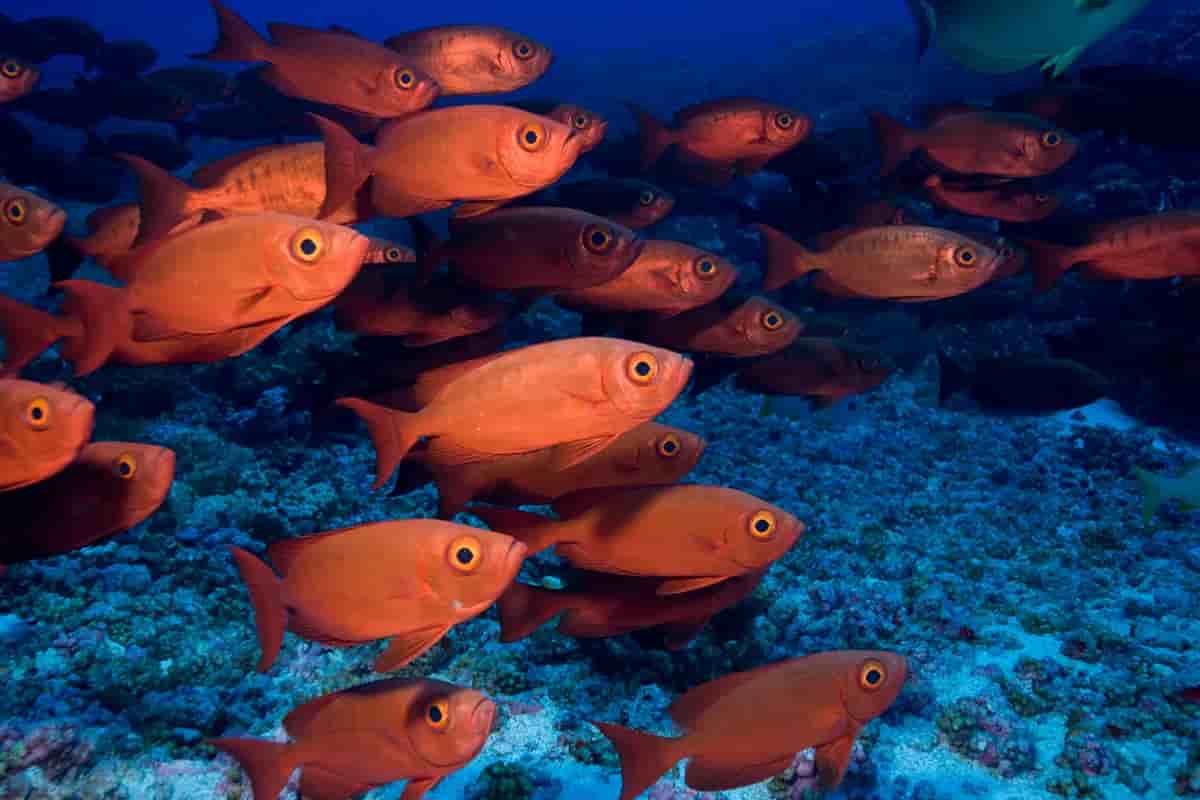 Thumbnail 5 Thumbnail 5