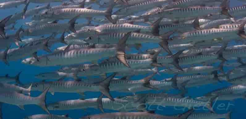 Thumbnail 2 Thumbnail 2