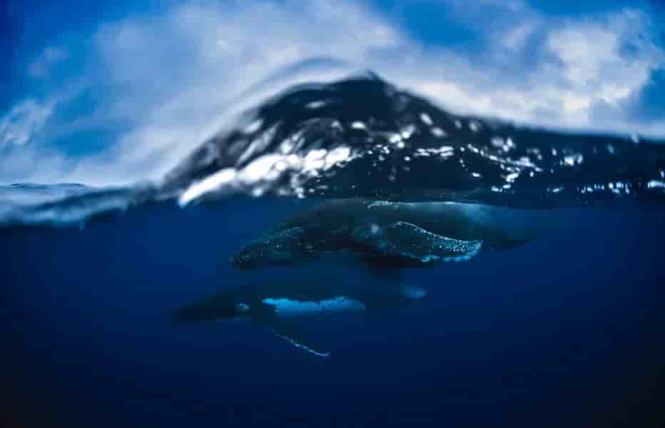 Thumbnail 1 Thumbnail 1