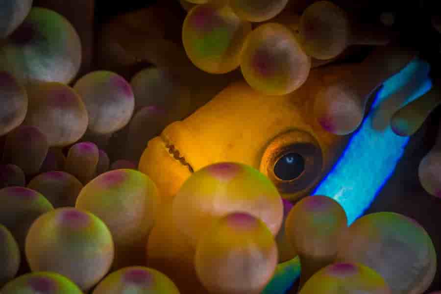 Thumbnail 2 Thumbnail 2