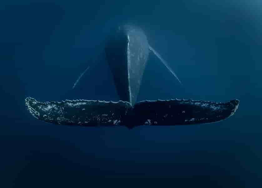 Thumbnail 8 Thumbnail 8