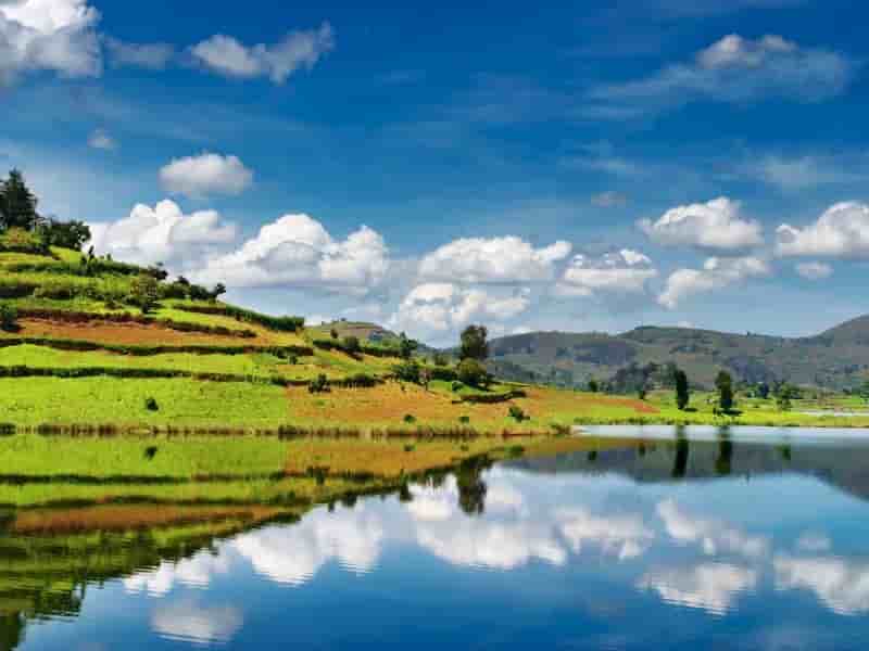 Thumbnail 7 Thumbnail 7