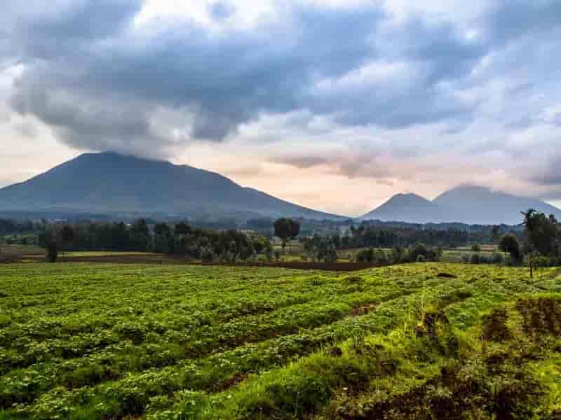 Thumbnail 8 Thumbnail 8