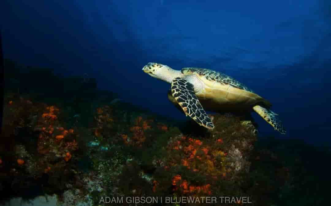 Thumbnail 6 Thumbnail 6