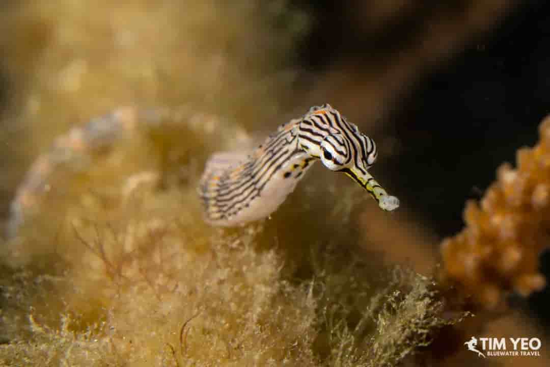 Thumbnail 3 Thumbnail 3