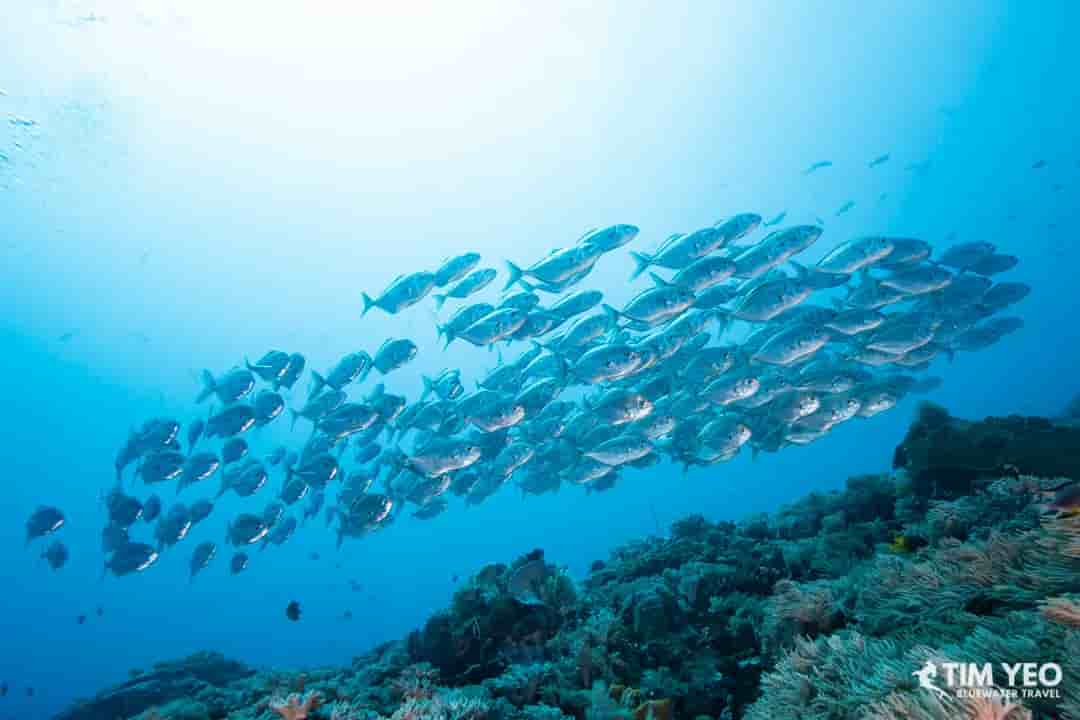 Thumbnail 6 Thumbnail 6