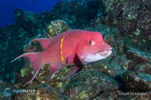 Thumbnail 5 Thumbnail 5