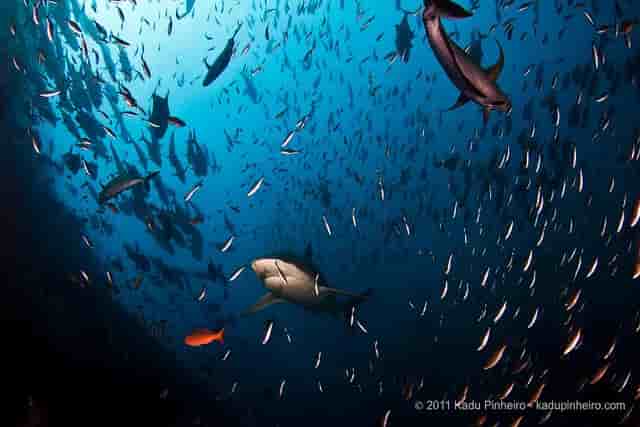 Thumbnail 6 Thumbnail 6