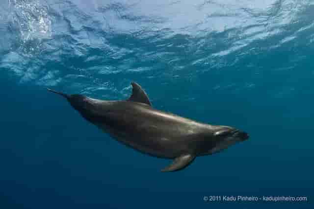 Thumbnail 8 Thumbnail 8