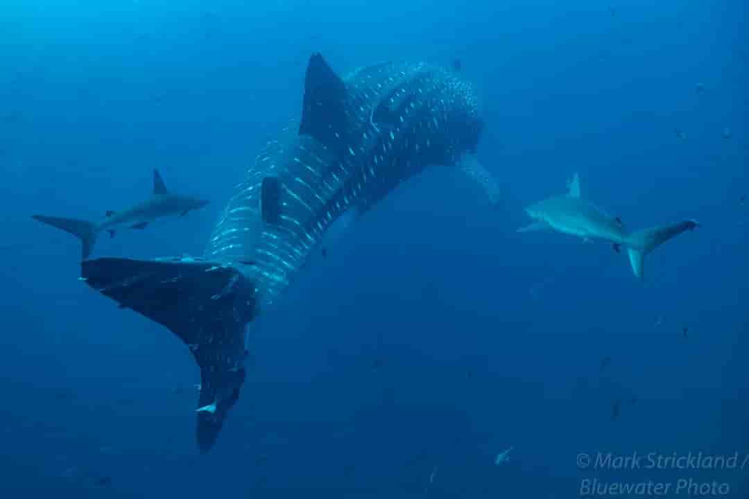 Thumbnail 5 Thumbnail 5