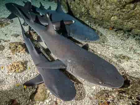 Thumbnail 2 Thumbnail 2