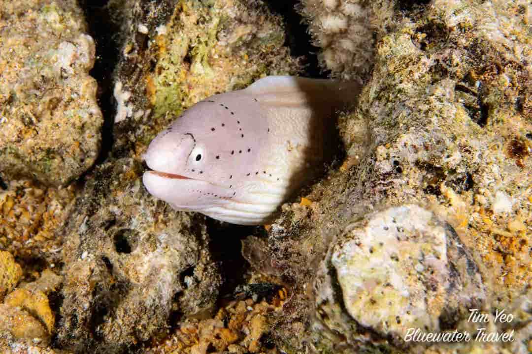 Thumbnail 3 Thumbnail 3