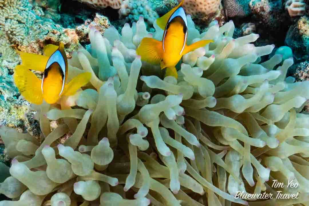 Thumbnail 4 Thumbnail 4