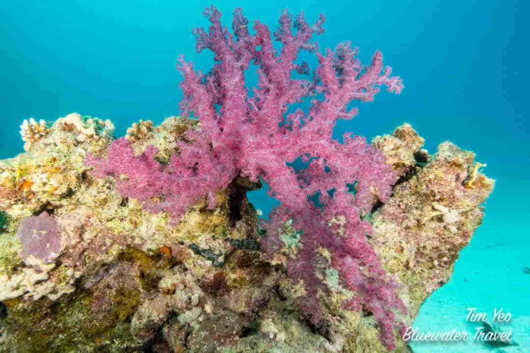 Thumbnail 9 Thumbnail 9